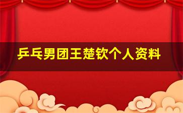 乒乓男团王楚钦个人资料