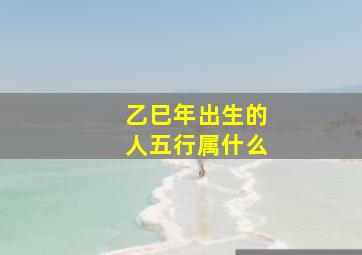 乙巳年出生的人五行属什么