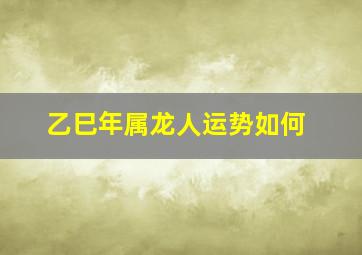 乙巳年属龙人运势如何