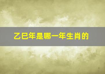 乙巳年是哪一年生肖的