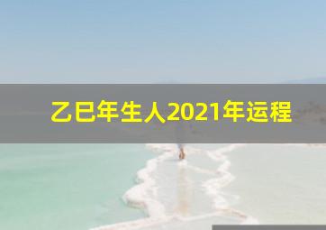 乙巳年生人2021年运程