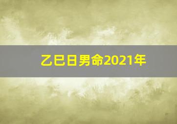 乙巳日男命2021年