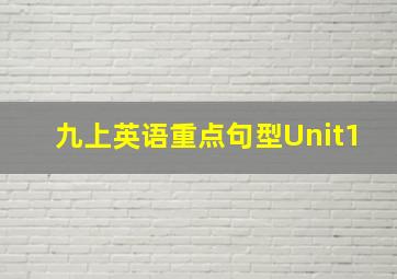 九上英语重点句型Unit1