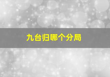 九台归哪个分局