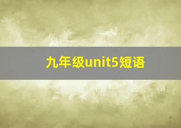 九年级unit5短语