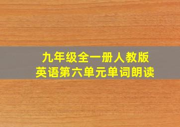 九年级全一册人教版英语第六单元单词朗读