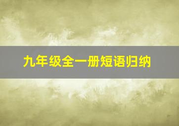 九年级全一册短语归纳