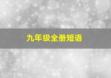 九年级全册短语