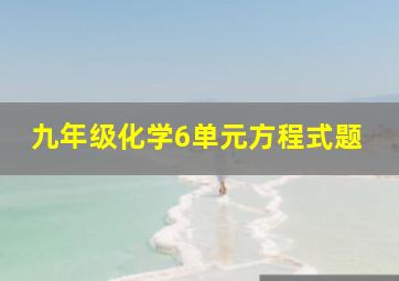 九年级化学6单元方程式题