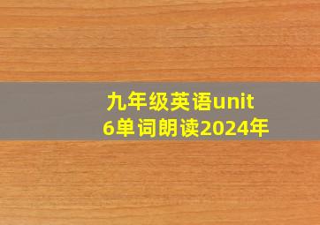 九年级英语unit6单词朗读2024年