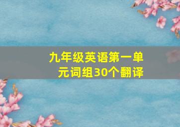 九年级英语第一单元词组30个翻译