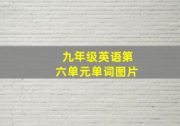 九年级英语第六单元单词图片