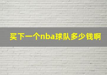 买下一个nba球队多少钱啊