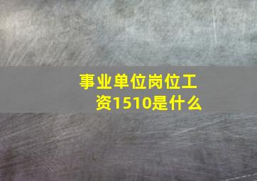 事业单位岗位工资1510是什么