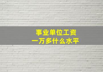 事业单位工资一万多什么水平