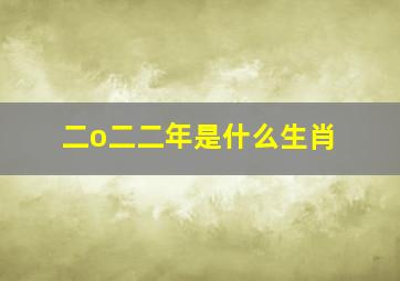 二o二二年是什么生肖