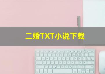 二婚TXT小说下载