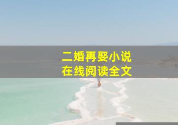 二婚再娶小说在线阅读全文