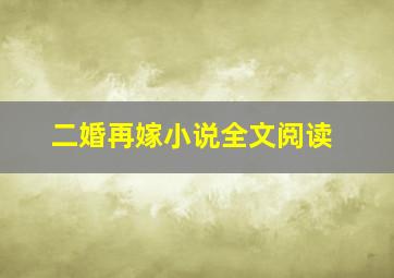 二婚再嫁小说全文阅读