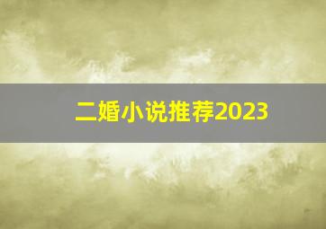 二婚小说推荐2023