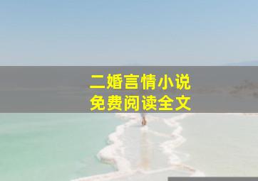 二婚言情小说免费阅读全文