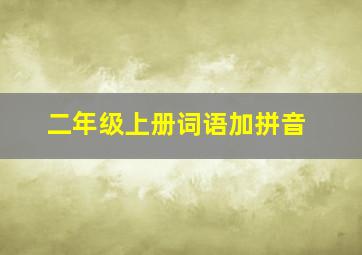 二年级上册词语加拼音