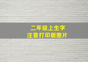 二年级上生字注音打印版图片