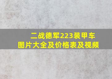 二战德军223装甲车图片大全及价格表及视频