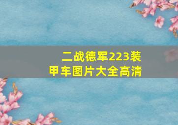 二战德军223装甲车图片大全高清