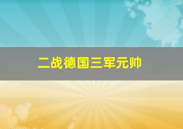 二战德国三军元帅