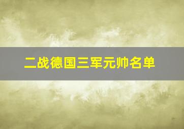 二战德国三军元帅名单