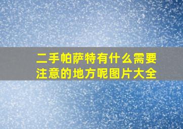 二手帕萨特有什么需要注意的地方呢图片大全