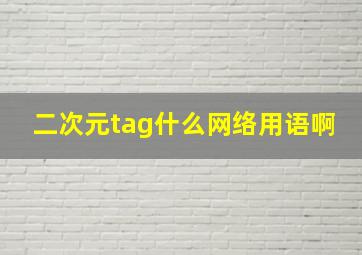 二次元tag什么网络用语啊