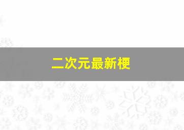 二次元最新梗