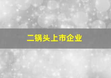 二锅头上市企业