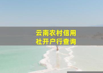 云南农村信用社开户行查询