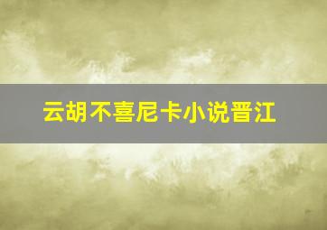 云胡不喜尼卡小说晋江