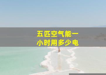 五匹空气能一小时用多少电