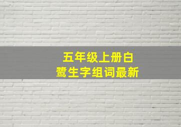 五年级上册白鹭生字组词最新