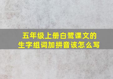 五年级上册白鹭课文的生字组词加拼音该怎么写