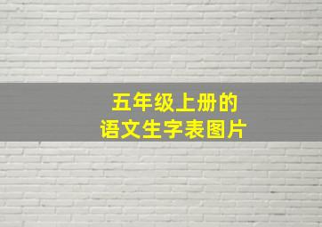 五年级上册的语文生字表图片