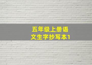 五年级上册语文生字抄写本1