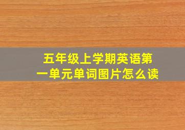 五年级上学期英语第一单元单词图片怎么读