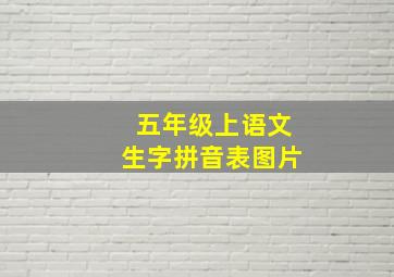 五年级上语文生字拼音表图片