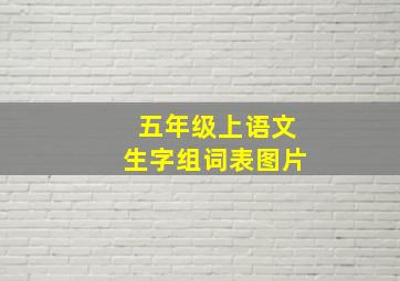 五年级上语文生字组词表图片