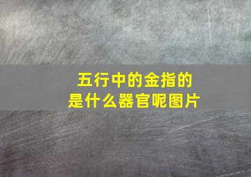 五行中的金指的是什么器官呢图片