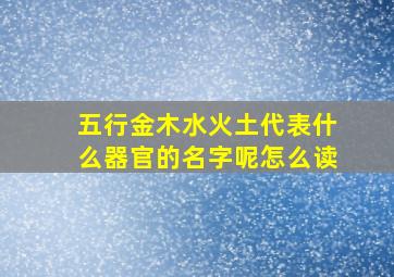 五行金木水火土代表什么器官的名字呢怎么读