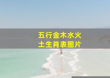 五行金木水火土生肖表图片