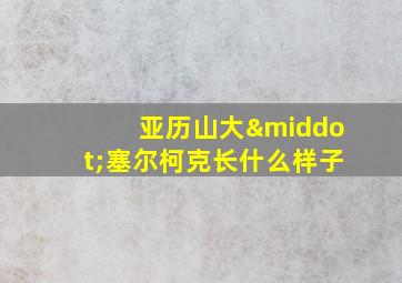 亚历山大·塞尔柯克长什么样子