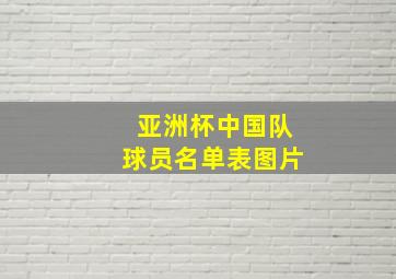 亚洲杯中国队球员名单表图片